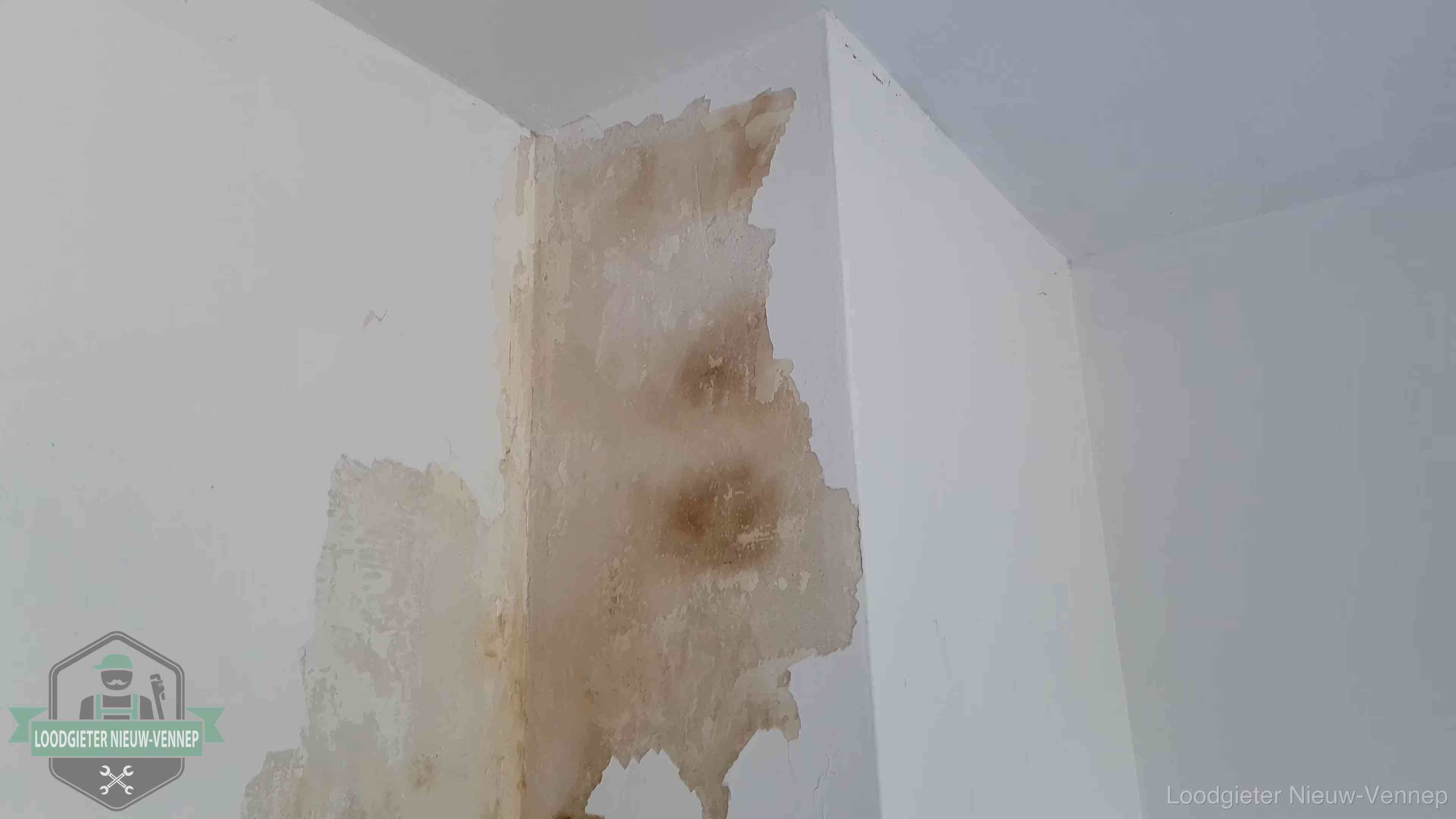 Bruine vochtkringen en afbladderend stucwerk op een binnenmuur in Nieuw-Vennep, een eerste teken van daklekkage