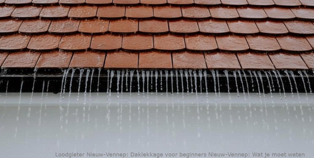 Daklekkage Voor Beginners Nieuw Vennep