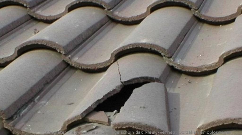 Lekkage Schuin Dak Nieuw Vennep