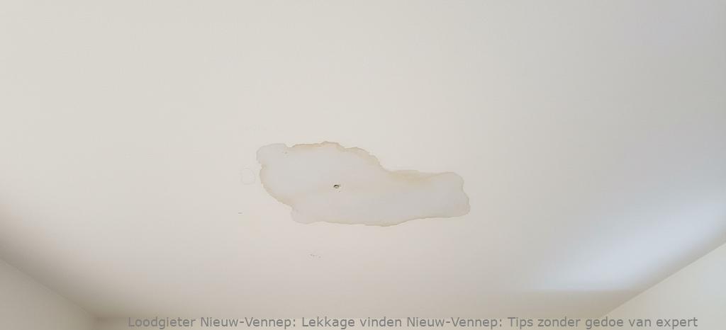 Lekkage Vinden Nieuw Vennep